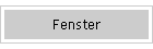 Fenster