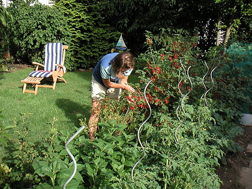 030600 Garten im Juni 001