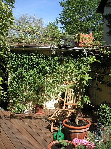 030500 Garten im Mai 007