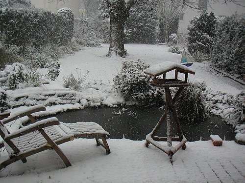 030106 Garten im Schnee011