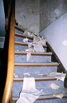 Renovierungsarbeiten vor dem Einzug<br>August bis Oktober 2000